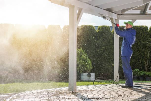 Best Fence Cleaning and Maintenance in Adamsville, AL