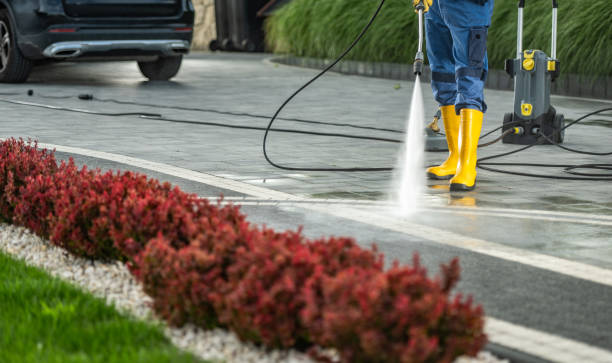 Best Driveway Cleaning and Restoration in Adamsville, AL